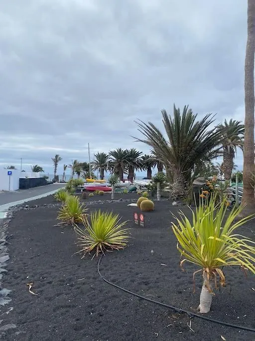 Hija Del Volcan Costa Teguise